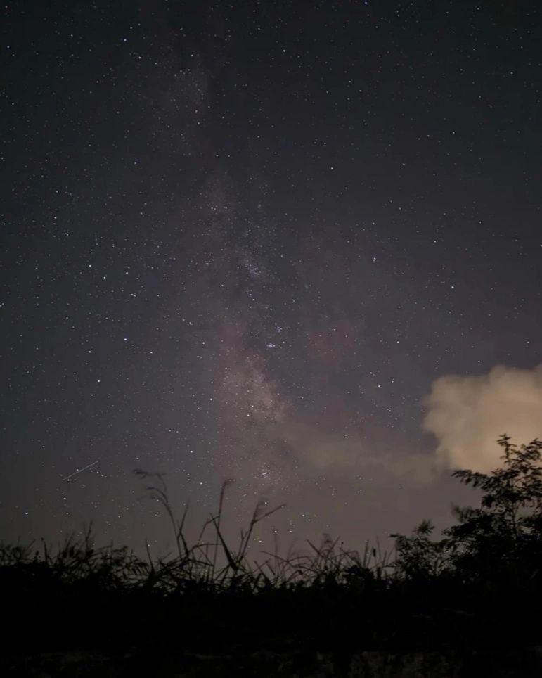 “Stars over East Tennessee” Image by Chad Stinnett