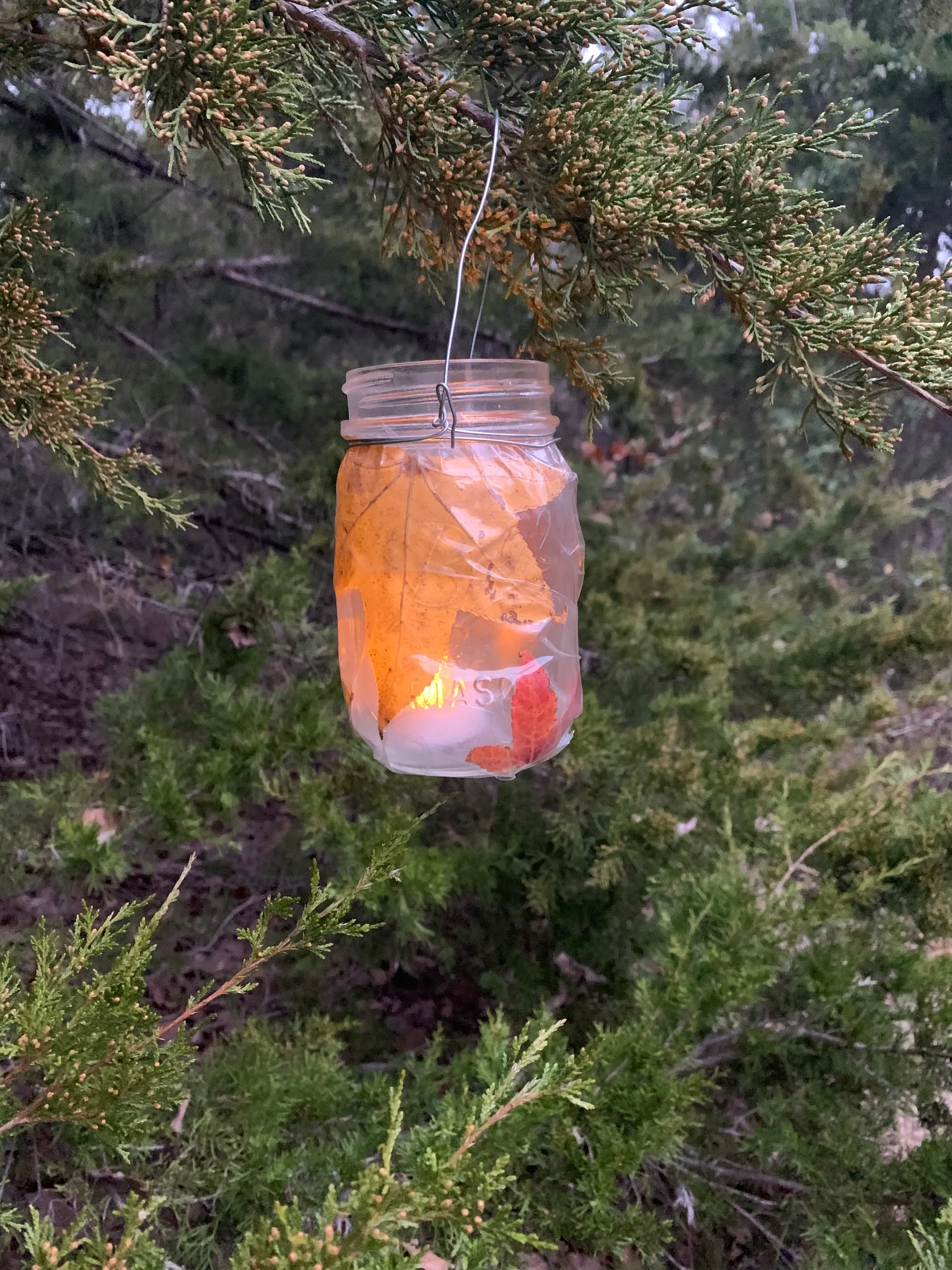 Featured image for “Night Hike Lanterns”