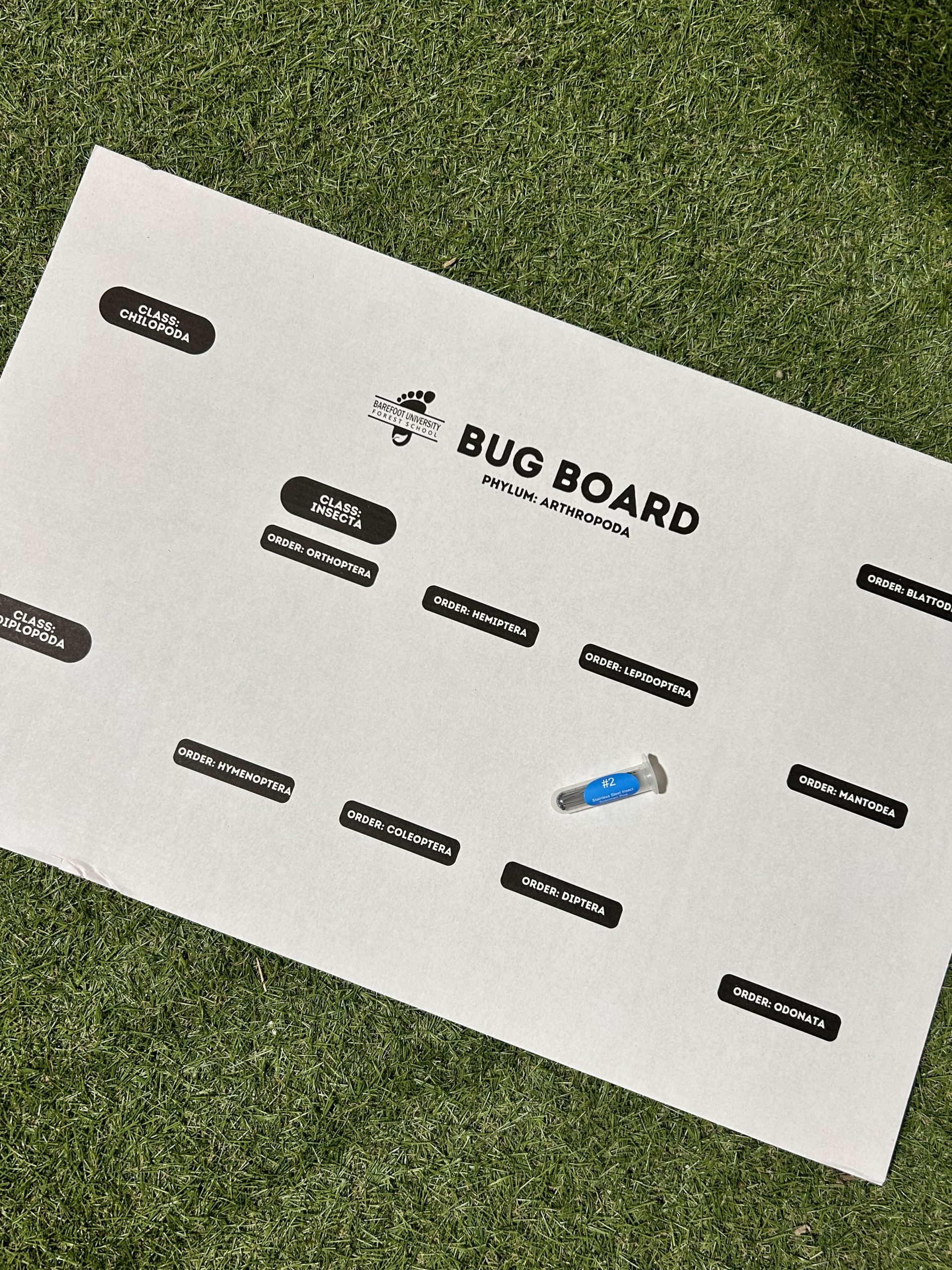 Featured image for “BU Bug Board”