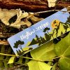Rhythm Barefoot Decal