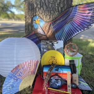 Rhythm Sky Supply Pack
