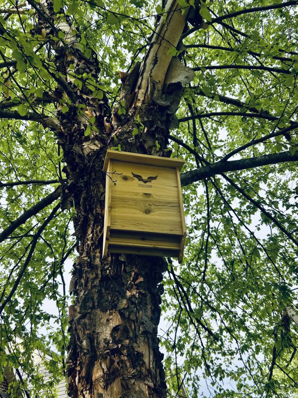 Pollinator Unit Study - Image 3