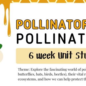 Pollinator Unit Study