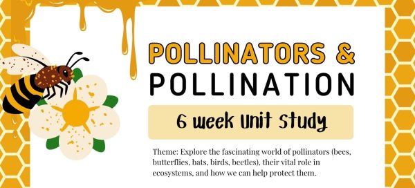Pollinator Unit Study