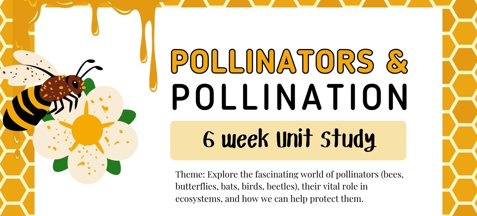 Featured image for “Pollinator Unit Study”