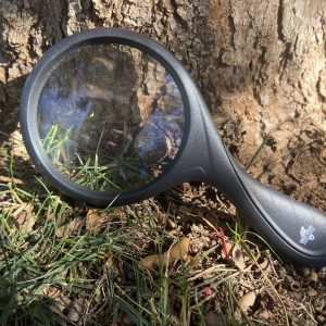 BU Magnifying Glass