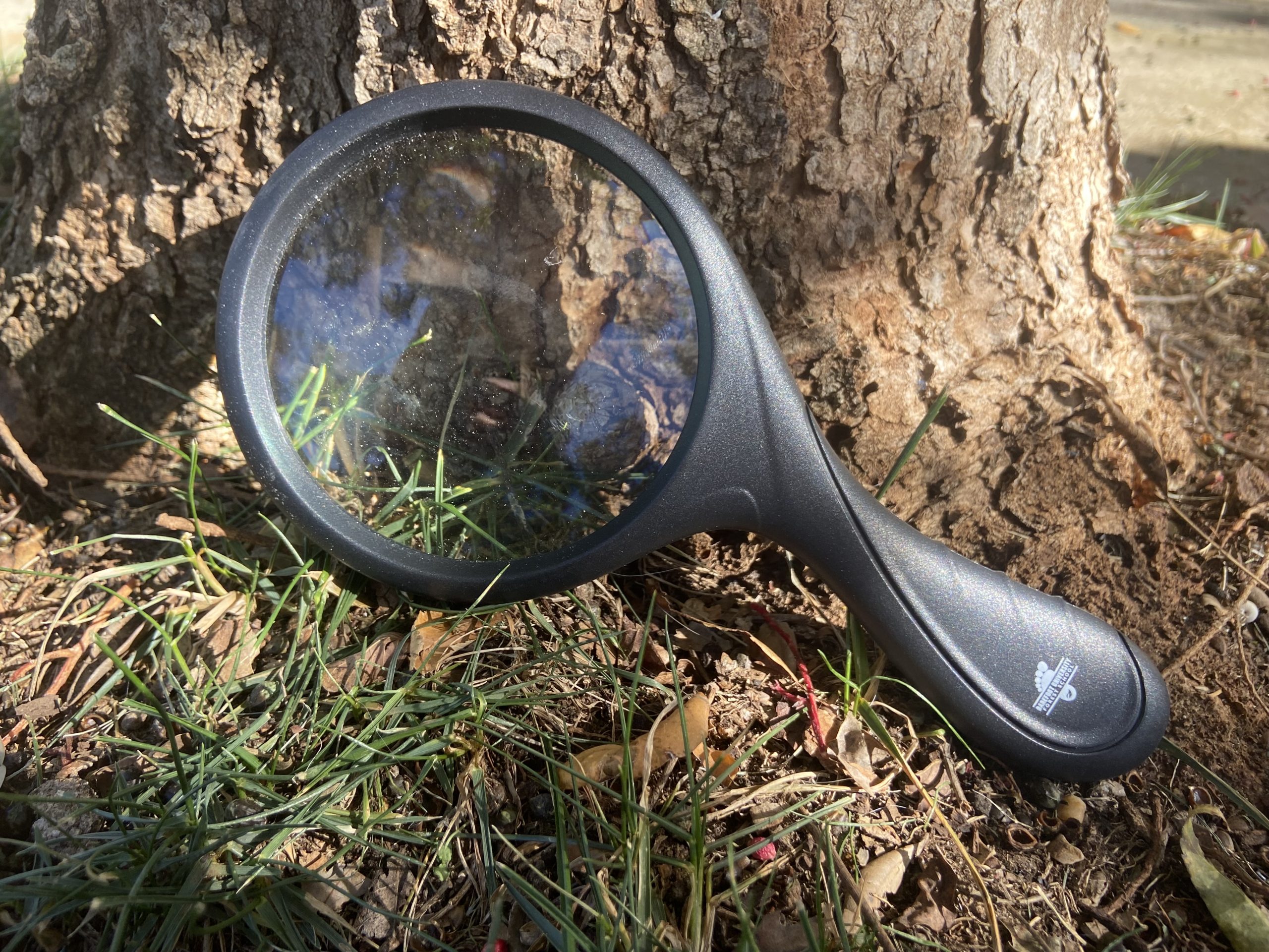 Featured image for “BU Magnifying Glass”