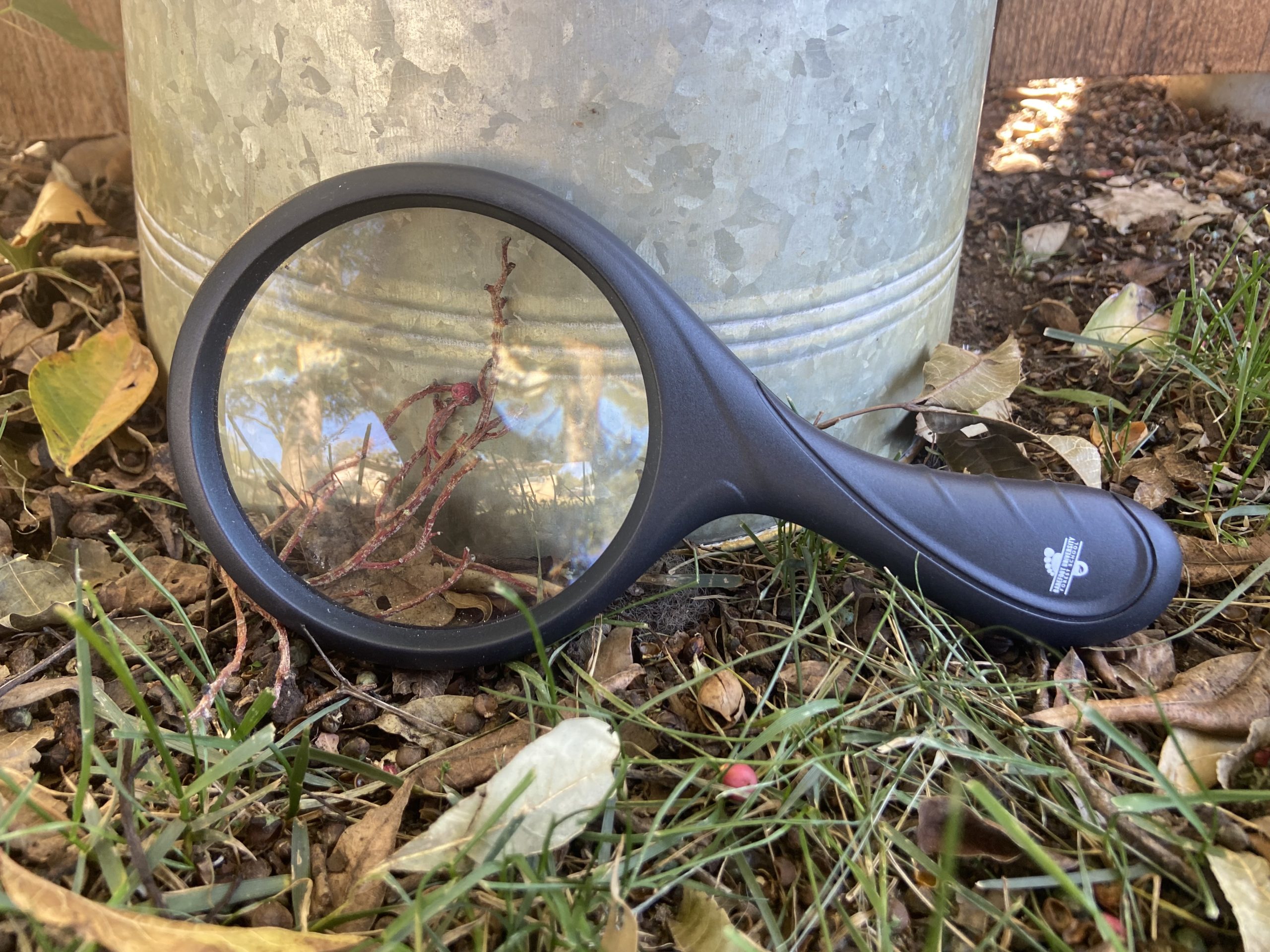 BU Magnifying Glass - Image 2