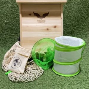 Pollinator Exploration Set