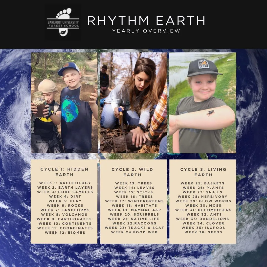 Rhythm Earth overview