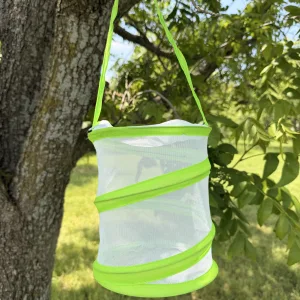 Butterfly Bug Enclosure