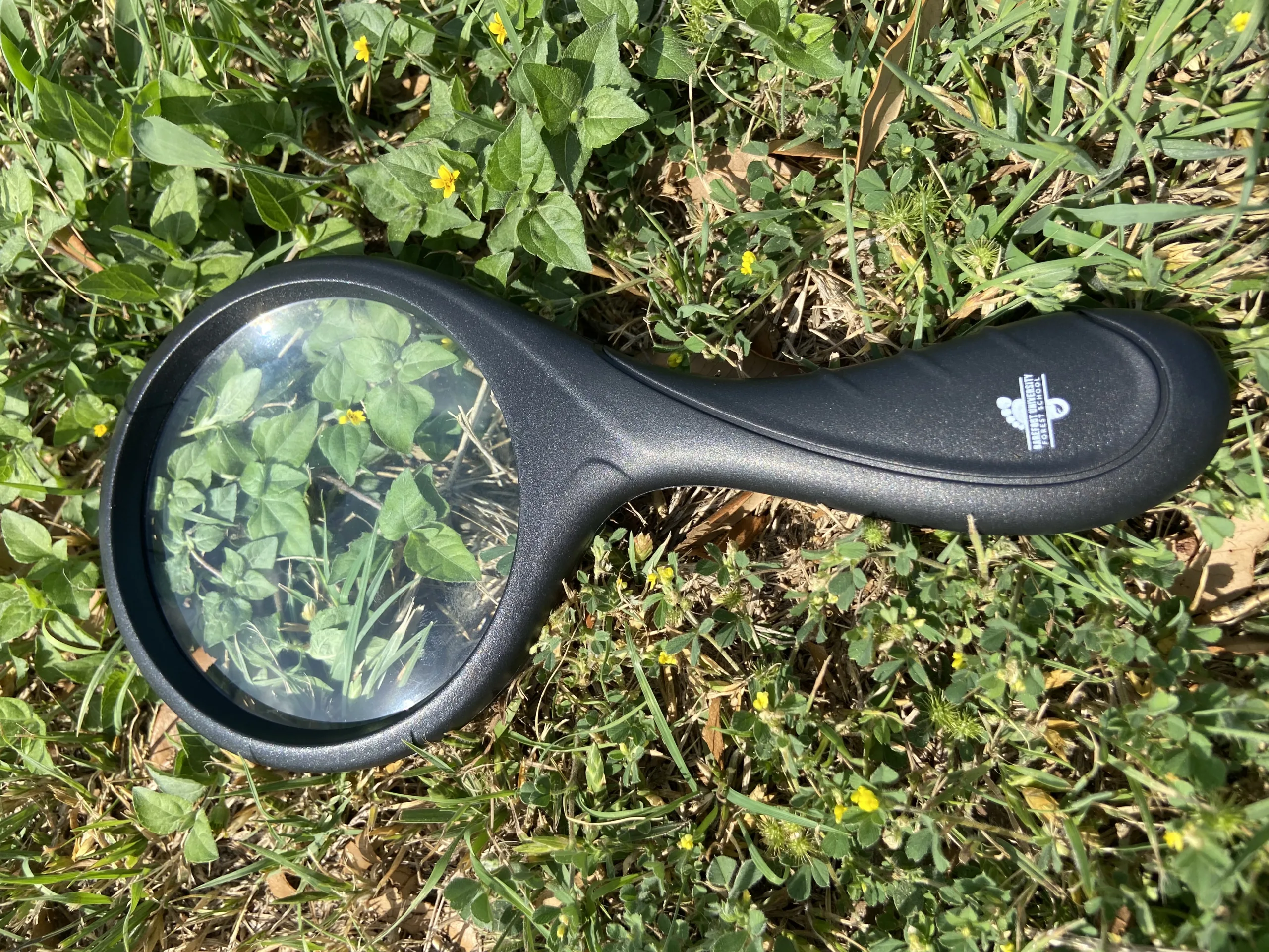 Featured image for “BU Magnifying Glass”