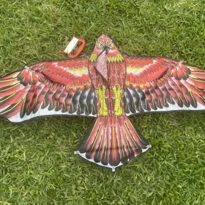 Birds of Prey Kites