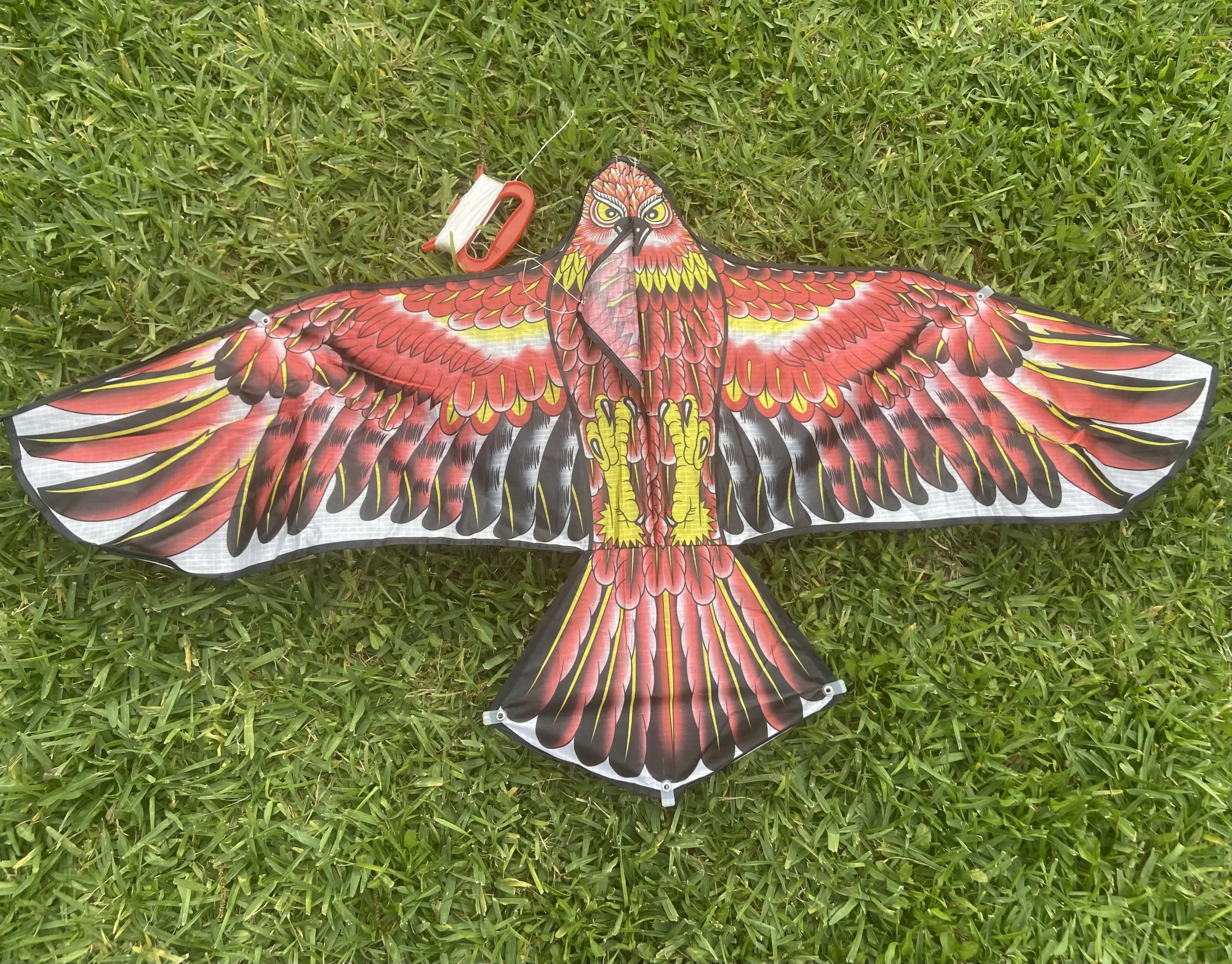 Featured image for “Birds of Prey Kites”
